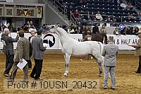 10usn_20432 proof
