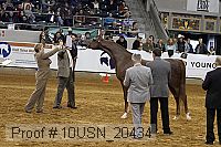 10usn_20434 proof