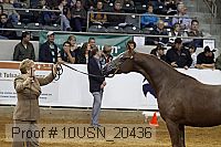 10usn_20436 proof