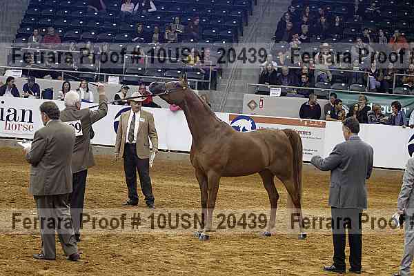 Proof 10usn_20439