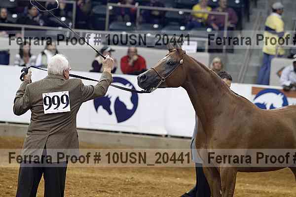 Proof 10usn_20441