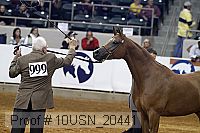 10usn_20441 proof