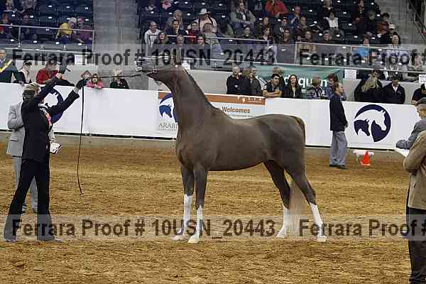 Proof 10usn_20443