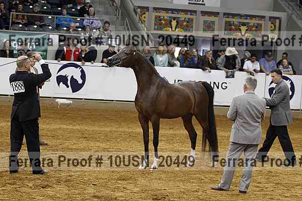 Proof 10usn_20449
