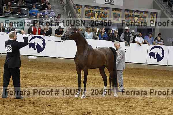 Proof 10usn_20450