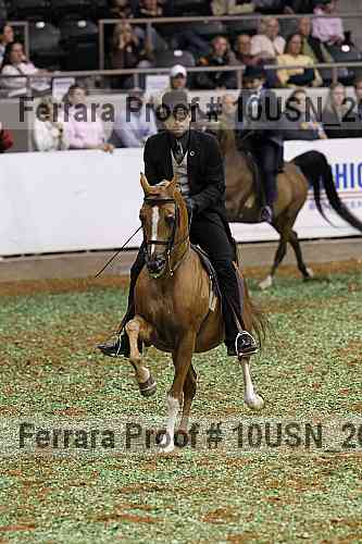 Proof 10usn_26059