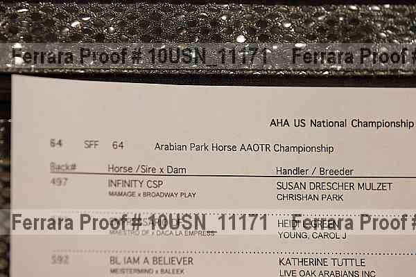 Proof 10usn_11171
