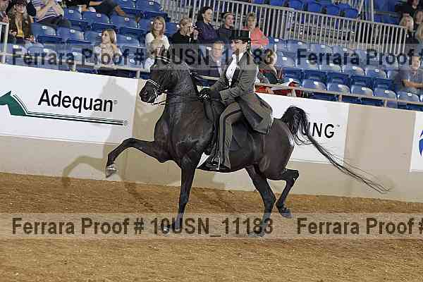 Proof 10usn_11183