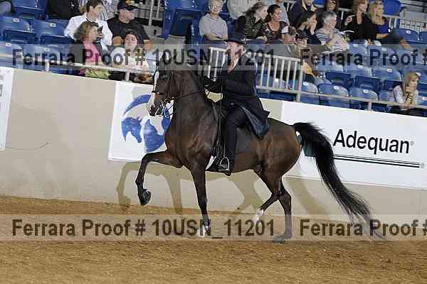 Proof 10usn_11201