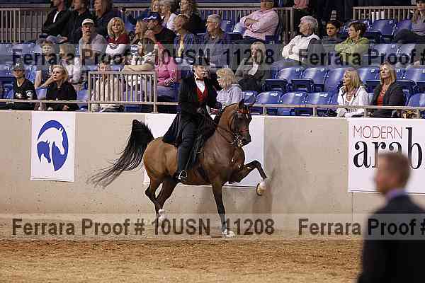 Proof 10usn_11208
