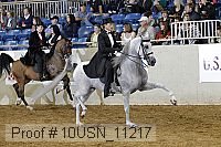 10usn_11217 proof
