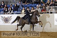 10usn_11225 proof