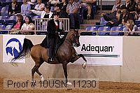 10usn_11230 proof