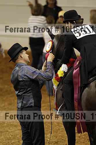 Proof 10usn_11294