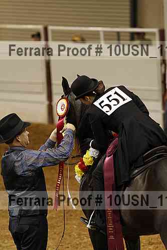 Proof 10usn_11295