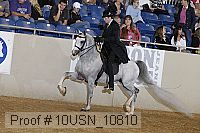 10usn_10810 proof