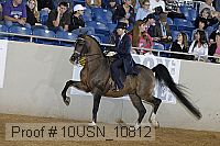 10usn_10812 proof