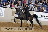 10usn_10816 proof