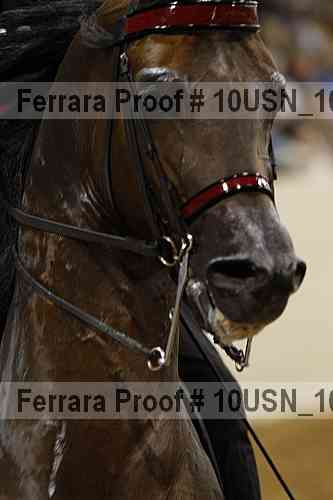Proof 10usn_10830