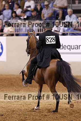 Proof 10usn_10884