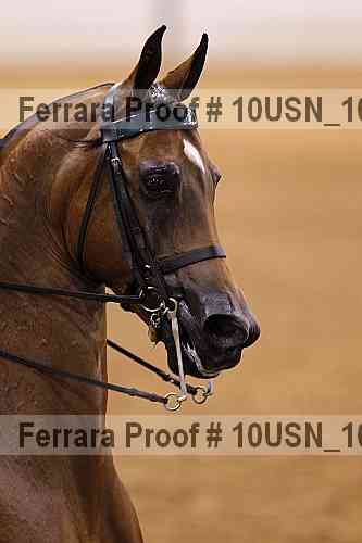 Proof 10usn_10892