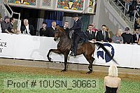 10usn_30663 proof