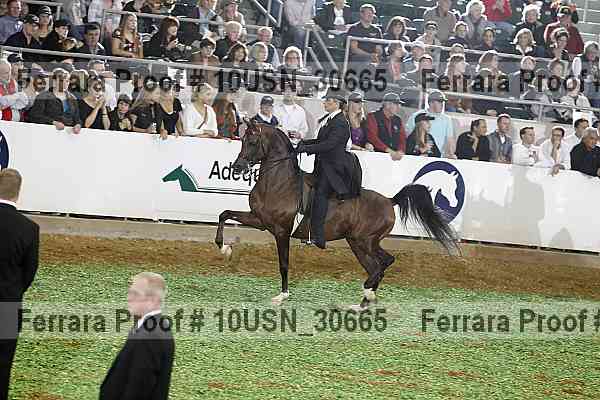 Proof 10usn_30665