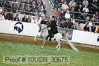 10usn_30675 proof