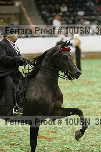 Proof 10usn_30686