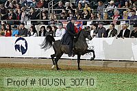 10usn_30710 proof