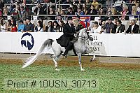 10usn_30713 proof