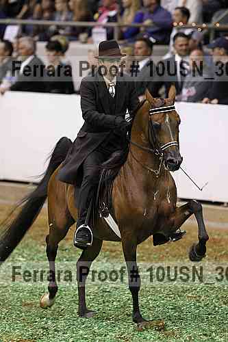 Proof 10usn_30725