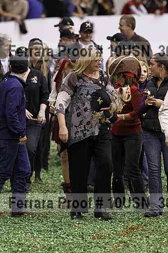 Proof 10usn_30837
