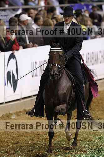 Proof 10usn_30851