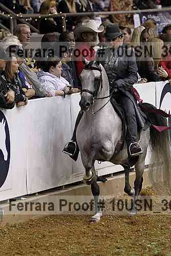 Proof 10usn_30861