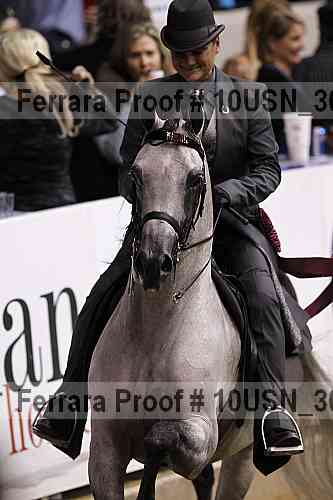 Proof 10usn_30865