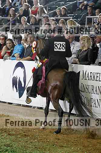 Proof 10usn_30878