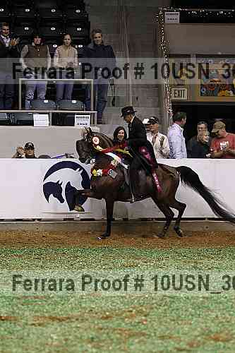 Proof 10usn_30879