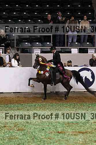 Proof 10usn_30880