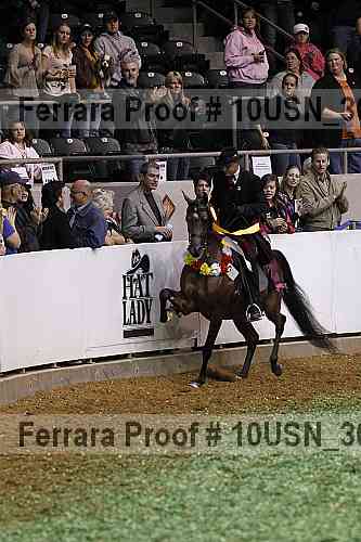 Proof 10usn_30883