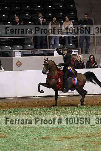 Proof 10usn_30908