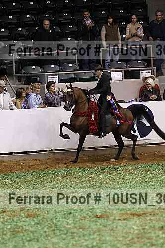 Proof 10usn_30935