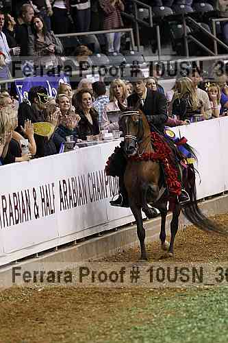 Proof 10usn_30937