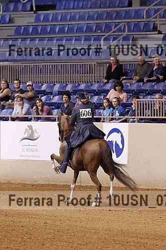 Proof 10usn_07236