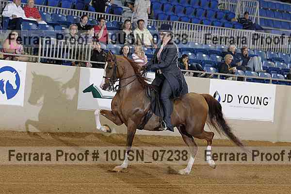 Proof 10usn_07238