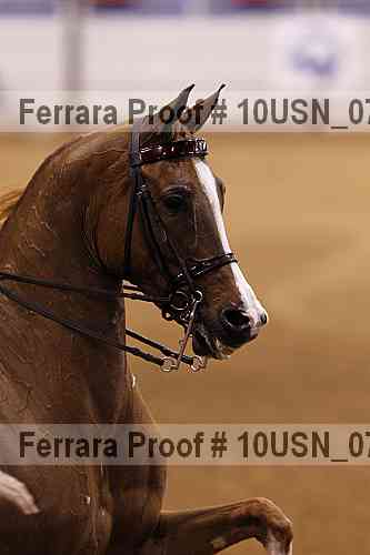 Proof 10usn_07243