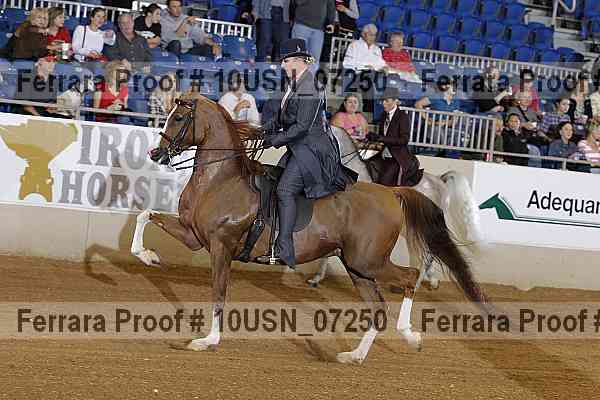 Proof 10usn_07250