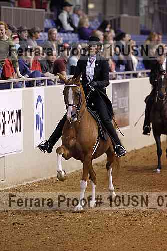 Proof 10usn_07264