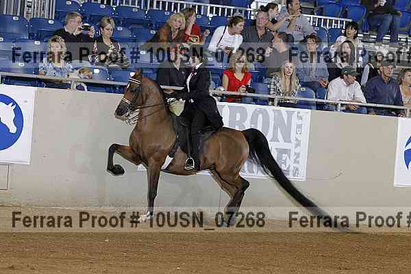 Proof 10usn_07268