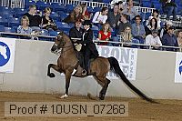 10usn_07268 proof